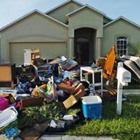 Phyllis Mcbride's Portfolio